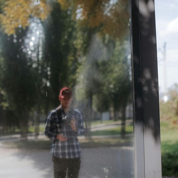 Beautiful forest landscape seen through a clear window frame.